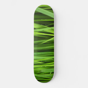 Skateboard Barras de hierba