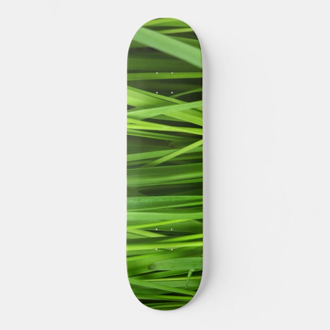 Skateboard Barras de hierba (Anverso)