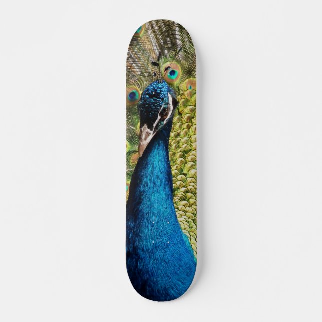 Skateboard Bashful Peacock (Anverso )