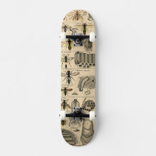 Skateboard Bee Insect Bug Wasp Naturaleza Abejas Pintura