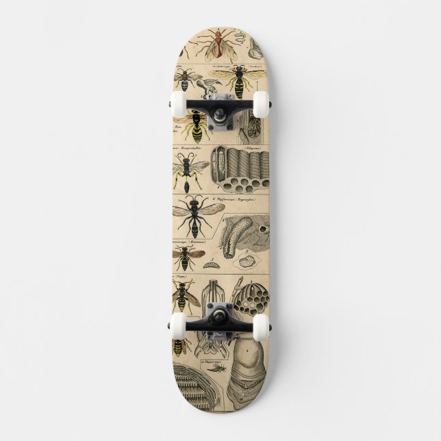 Skateboard Bee Insect Bug Wasp Naturaleza Abejas Pintura (Anverso)