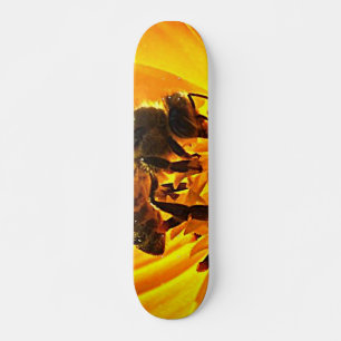 Skateboard Bee on the Flower
