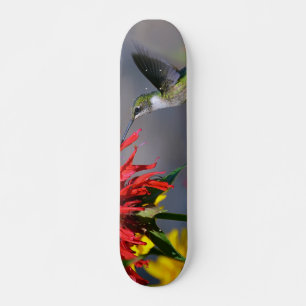 Skateboard Belleza de colibrí