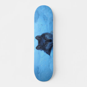 Skateboard Blue Snow Timber Wolf