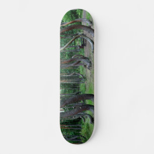 Skateboard Bosque Crooked - Polonia