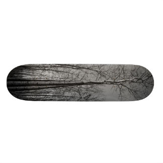 Skateboard Bosque de árboles