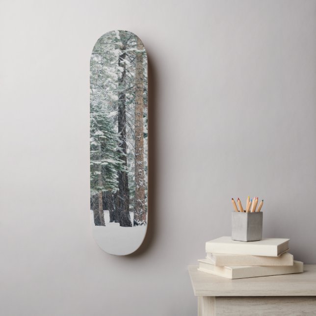 Skateboard Bosque de Invierno Nieve Rústico Desierto Al Aire  (Arte de la pared)