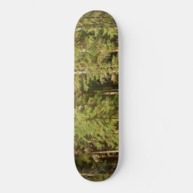 Skateboard Bosque ruso (paisaje rústico) (Green Woods) (Anverso)