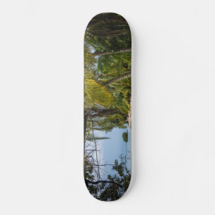 Skateboard Bosque tropical