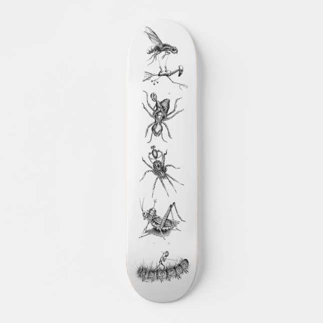 Skateboard Bots que montan el collage de los insectos (Anverso )