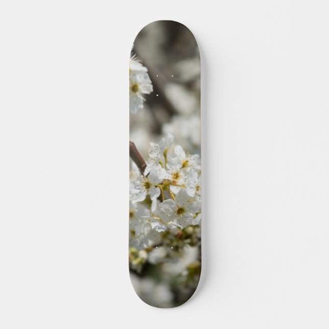 Skateboard Bradford Select Focus (Anverso )