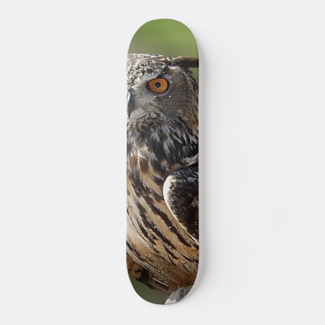 Skateboard Búho del atontamiento Eagle con los ojos (Anverso)