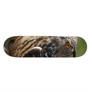 Skateboard Búho del atontamiento Eagle con los ojos