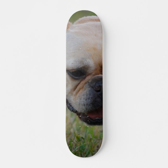 Skateboard Bulldog francés (Anverso )