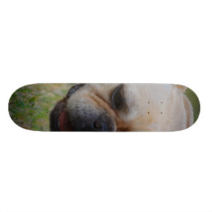 Skateboard Bulldog francés