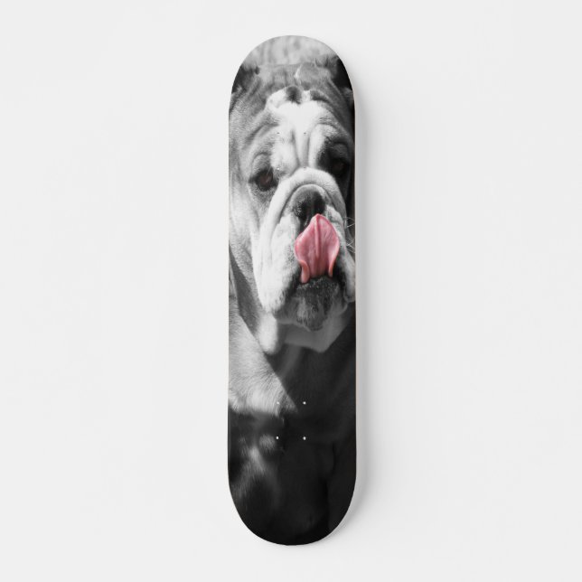 Skateboard bulldog inglés (Anverso )