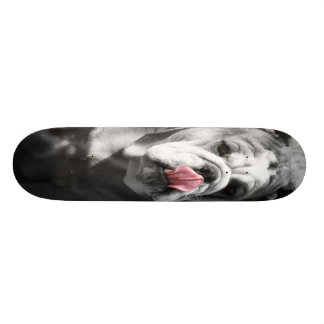 Skateboard bulldog inglés