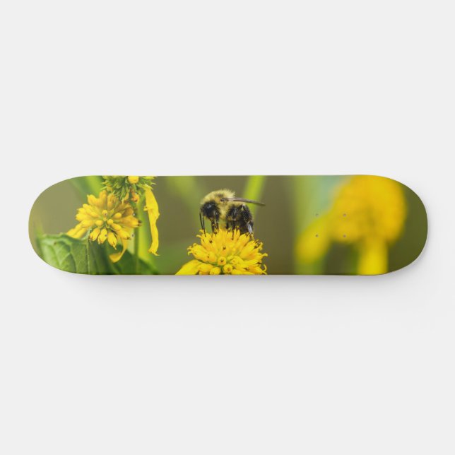 Skateboard Bumblebee (Horz)