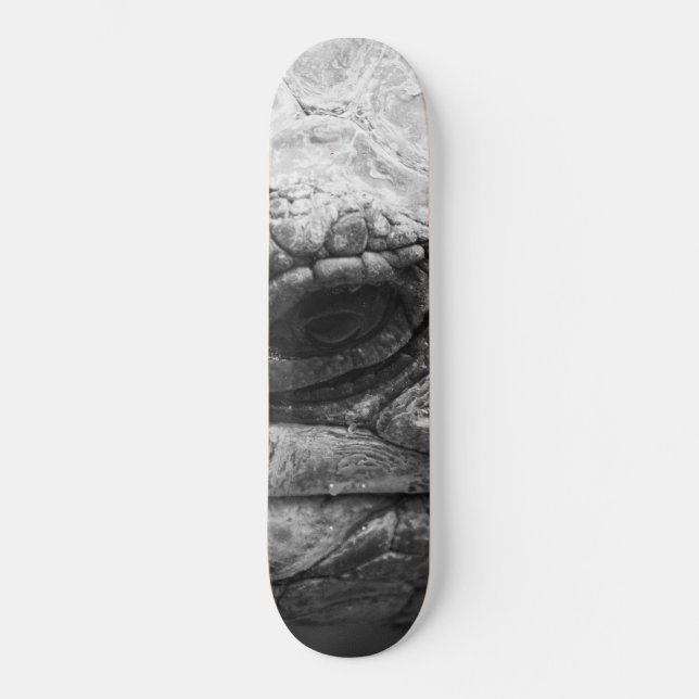 Skateboard BW Tortoise (Anverso)