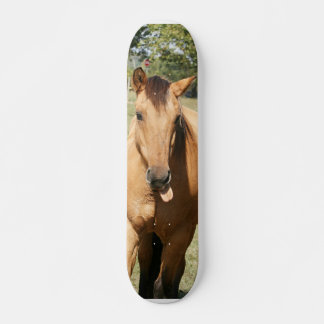 Skateboard caballo de aleck inteligente