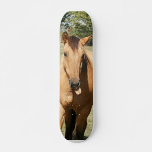 Skateboard caballo elegante del aleck