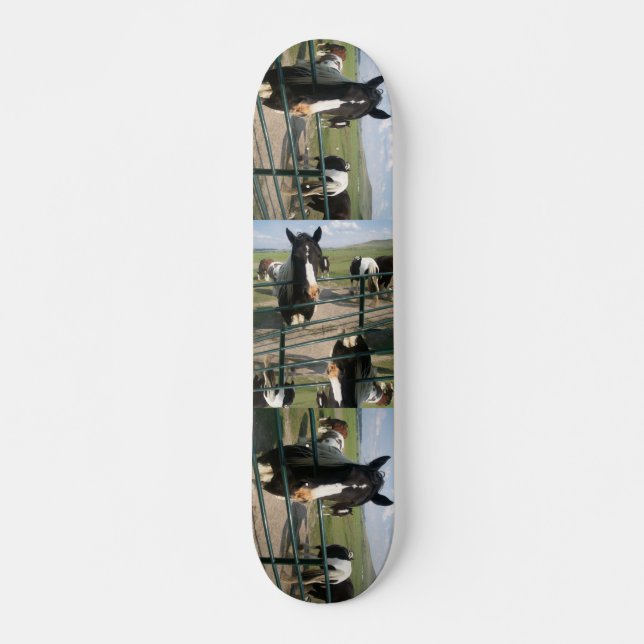 Skateboard Caballo loco Sk8 (Anverso )