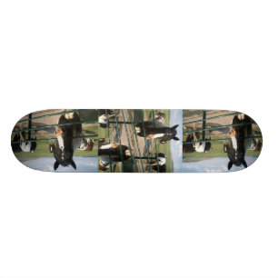 Skateboard Caballo loco Sk8