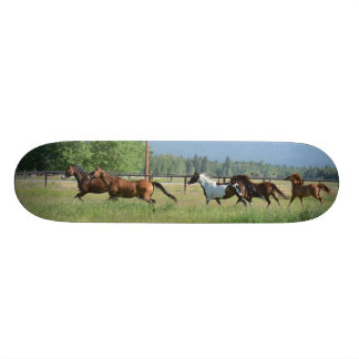 Skateboard Caballos galopantes