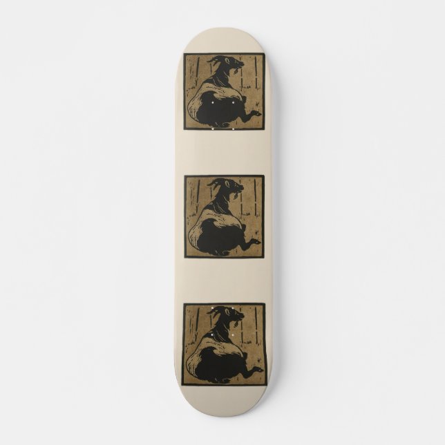 Skateboard Cabra - Ilustracion cuadrado de animales (Anverso )