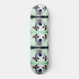 Skateboard Cachorro
