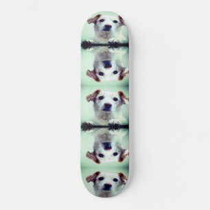 Skateboard Cachorro