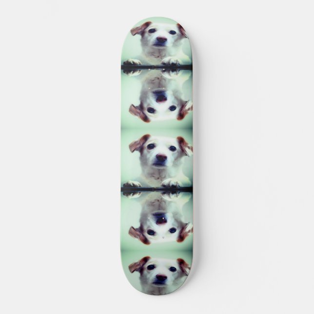 Skateboard Cachorro (Anverso)