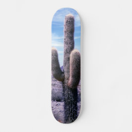 Skateboard Cactus en la provincia de Jujuy, al norte de Argen