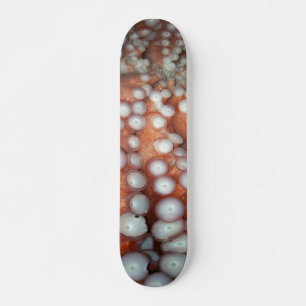 Skateboard Caer en el pulpo cercano