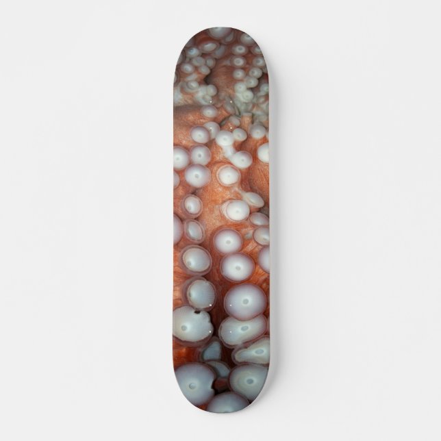 Skateboard Caer en el pulpo cercano (Anverso )