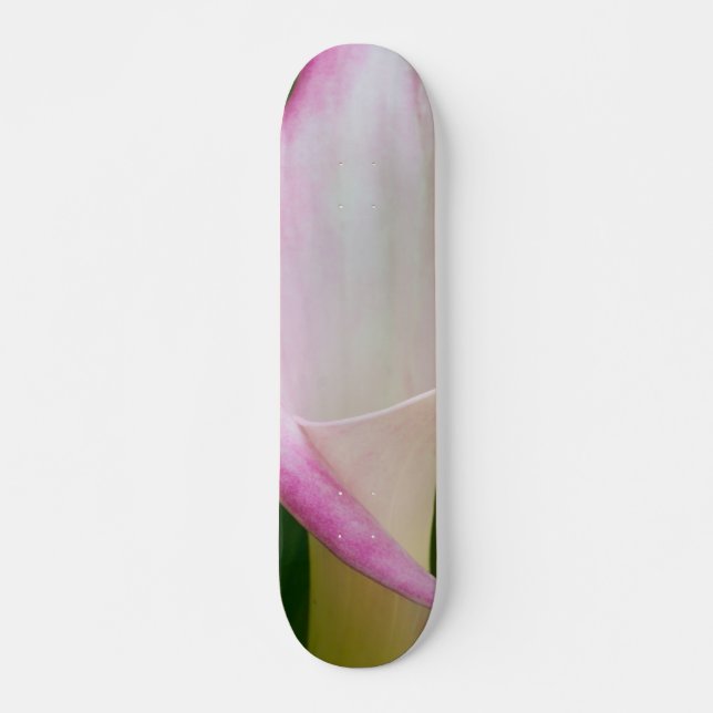 Skateboard Calla Pano (Anverso )