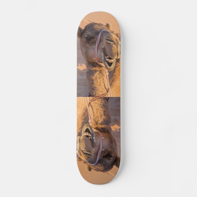 Skateboard Camello con una expresión facial divertida - Omán (Anverso)