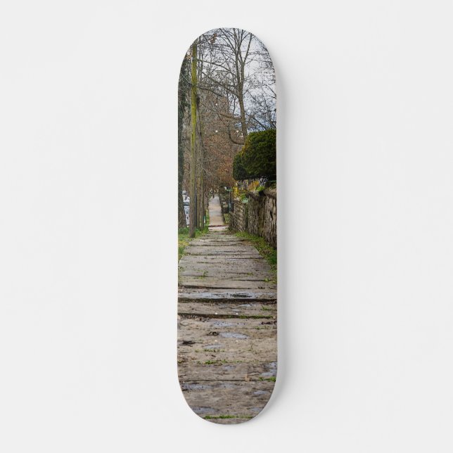 Skateboard Camino Desnivelado (Anverso )