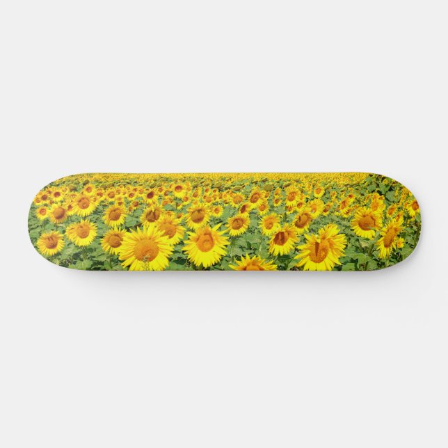 Skateboard Campo de girasol (Horz)