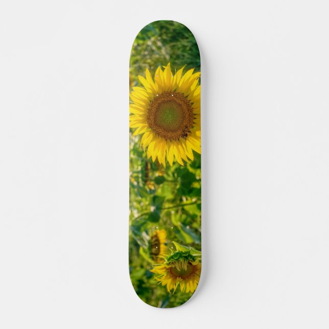 Skateboard Campo de girasol dorado (Anverso )