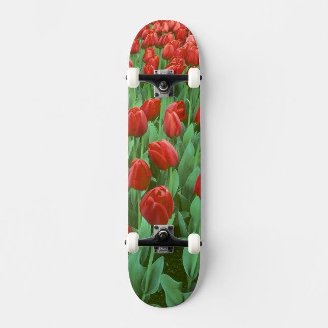 Skateboard Campo de tulipanes florece en primavera. (Anverso)
