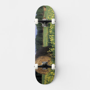 Skateboard Canadá, Columbia Británica, Kitwanga. Amarillo