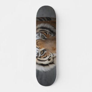 Skateboard Cara de tigre