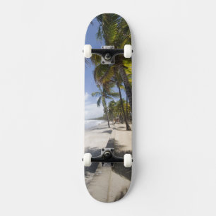 Skateboard Caribe - Trinidad - Playa Manzanilla en