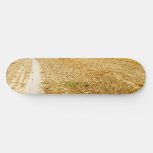 Skateboard Carretera a Sansol