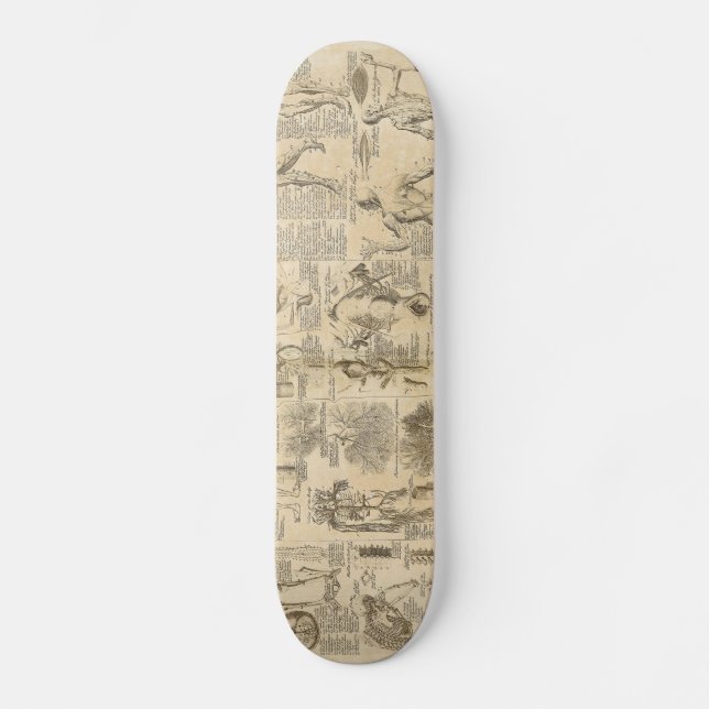 Skateboard Carta anatómica de Cyclopaedia 1728 (Anverso)