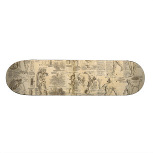 Skateboard Carta anatómica de Cyclopaedia 1728