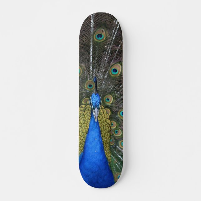 Skateboard Cartón de pavo real (Anverso )