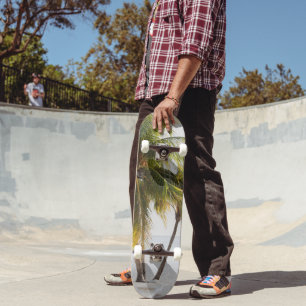 Skateboard Cas Abao - Escape de las playas tropicales #4 #oce