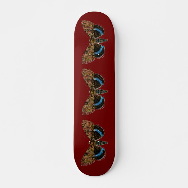 Skateboard Catocala fraxini (Anverso )